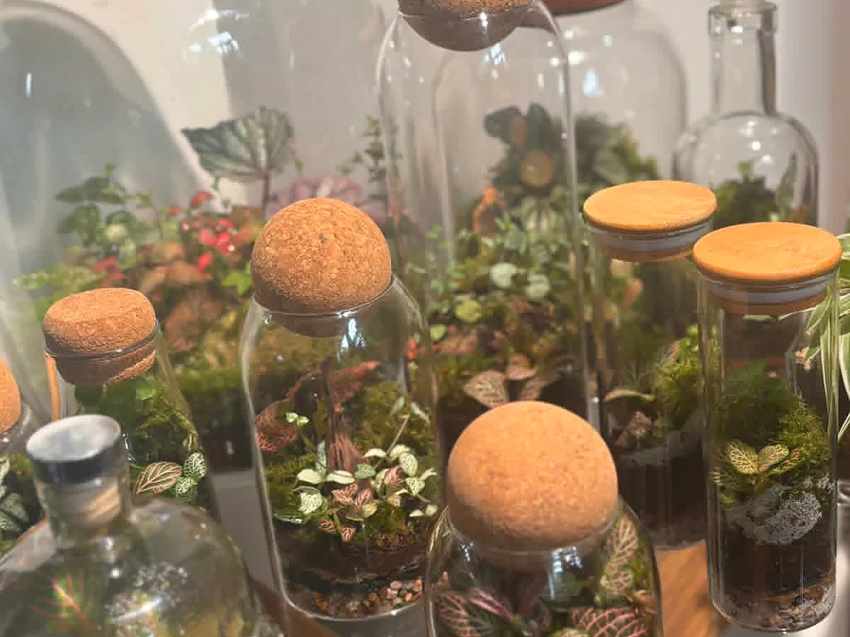 A varied collection of handmade terrariums
